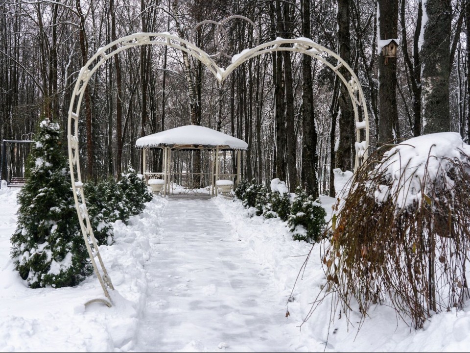 Посетителя года выберут в городском парке на новогоднем мероприятии 27 декабря