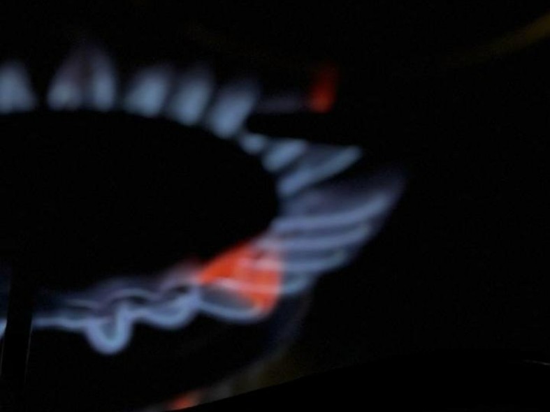 Кто на Новый год останется без газа? Почему в Подмосковье отключают подачу голубого топлива и как реанимировать свои плиты