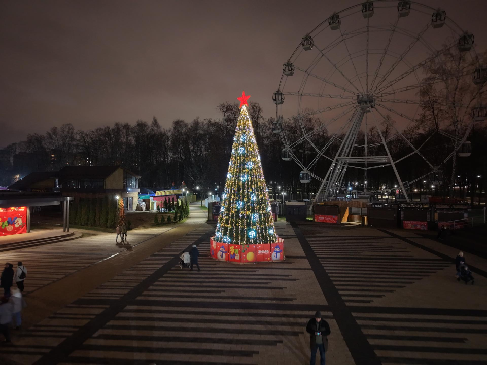 Двенадцать метров красоты: в Наташинском парке в Люберцах установили новогоднюю елку