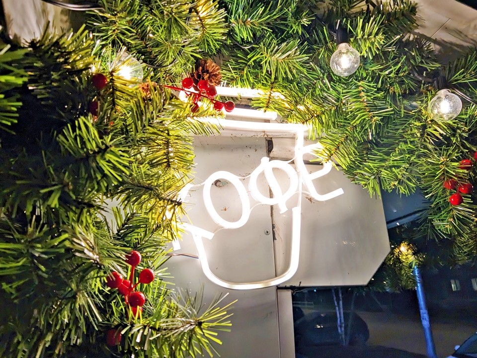 Новый год без снега? Что обещают синоптики жителям Подмосковья