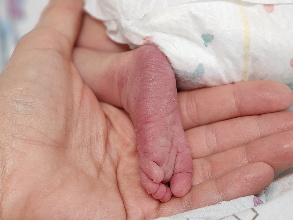 В женской консультации проведут бесплатное занятие для будущих мам