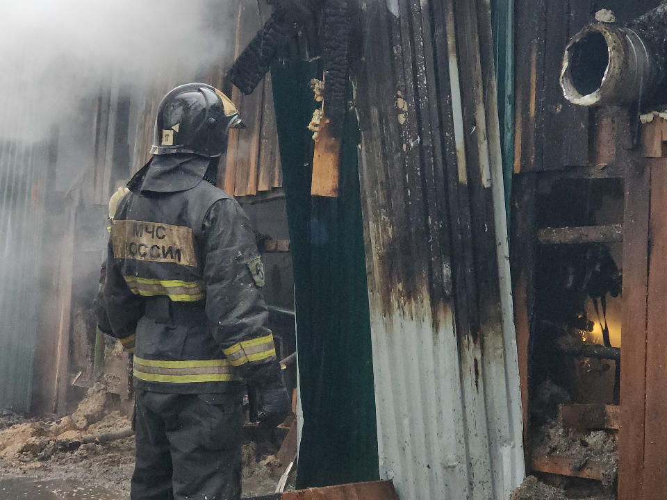 Огонь уничтожил дачи и бани: в Можайске назвали причины ноябрьских пожаров