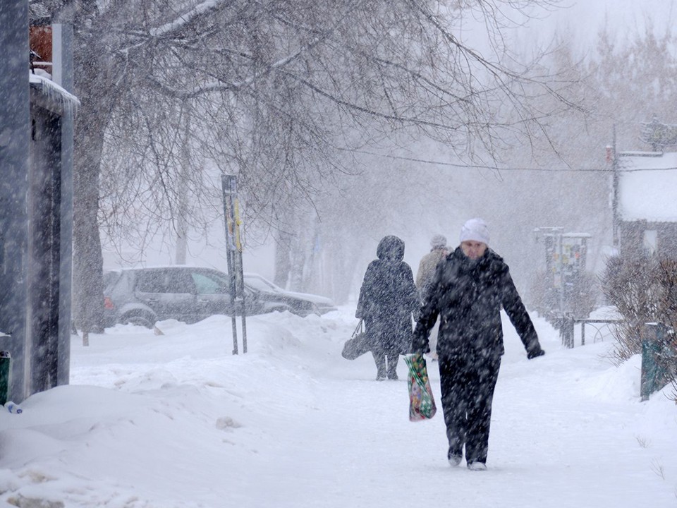 Небывалые морозы придут в Подмосковье после аномального тепла 20-21 декабря