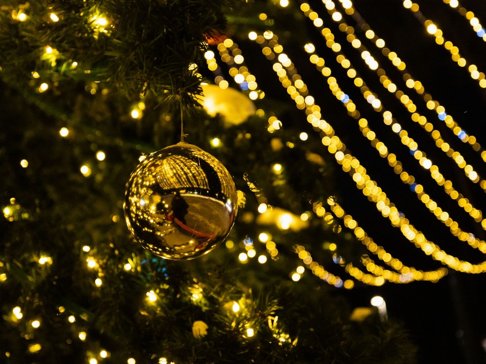 Сердце требует чуда: жители Солнечногорска торопятся устроить праздник