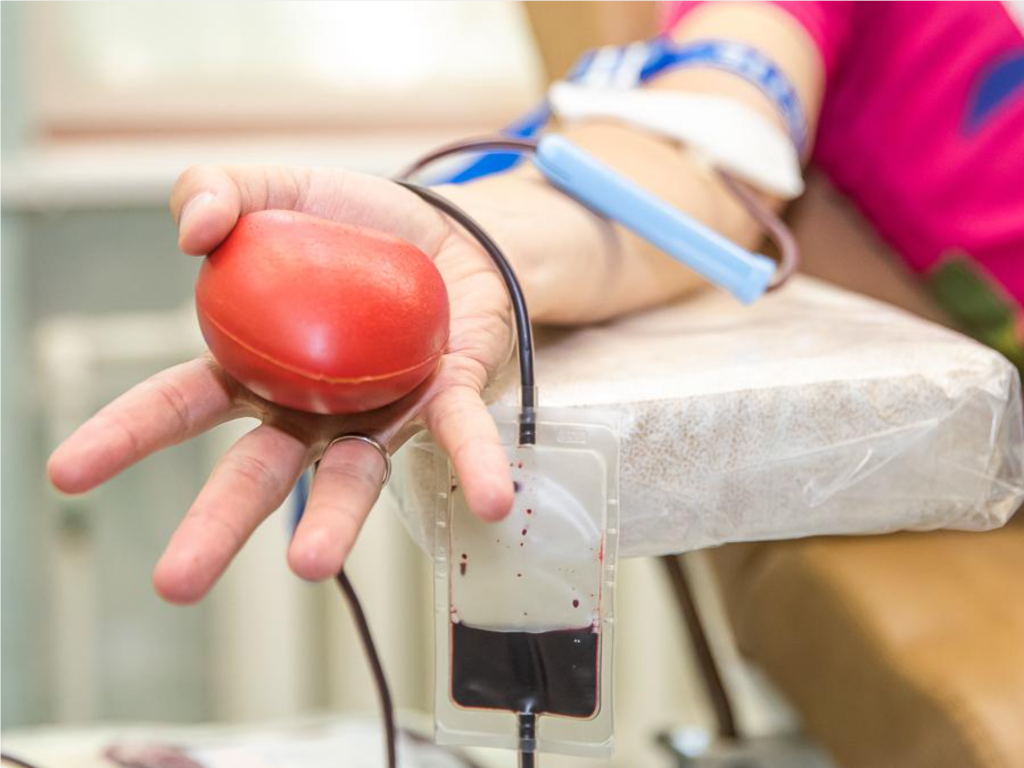 Поделись жизнью: «Донорская суббота» пройдет в Одинцове 20 декабря