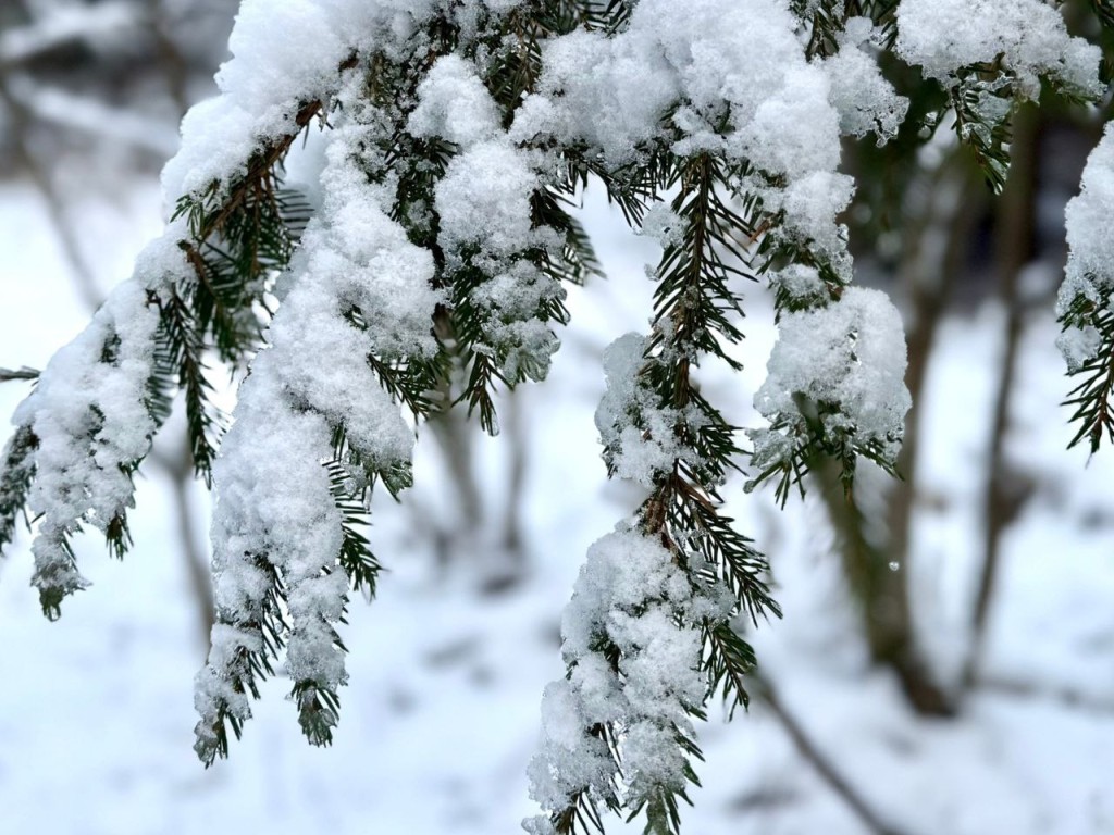 Гороскоп на 28 декабря 2025 для всех знаков Зодиака: Овнов, Тельцов и Стрельцов ждут важные известия, а Ракам и Львам стоит положиться на интуицию