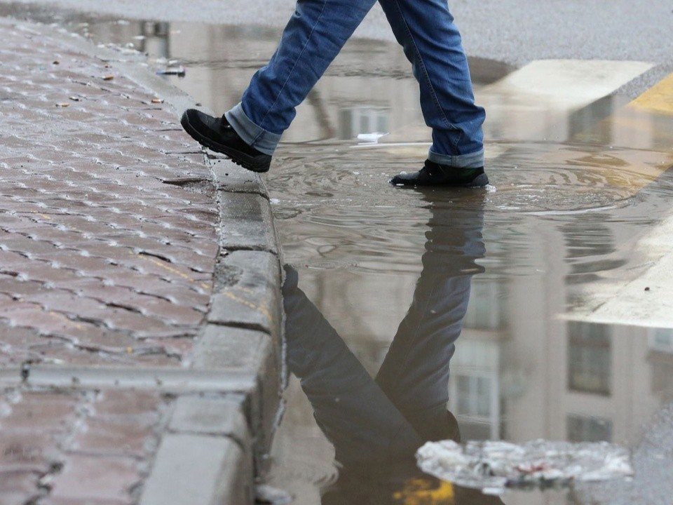 Уже скоро: в Гидрометцентре назвали дату начала потепления в Московской области