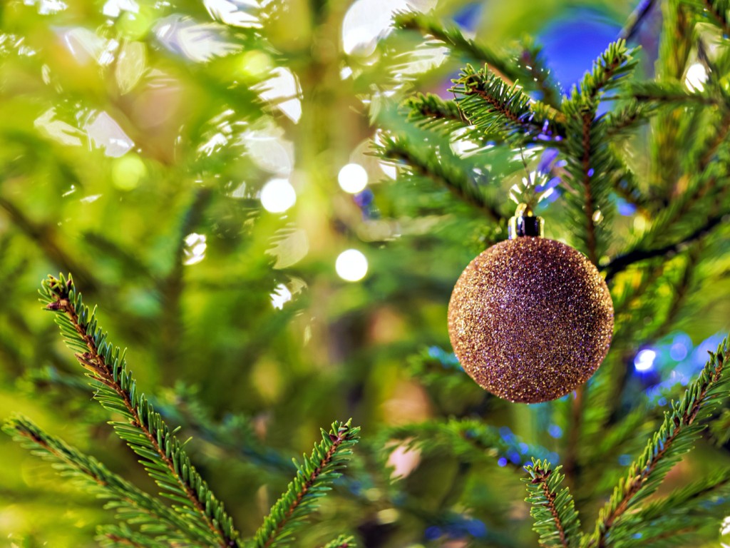 Путилково бьет все рекорды по елкам, установленным «всем на радость»