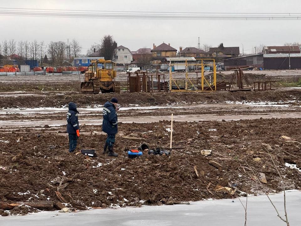 Эксперты подсчитают размер экологического ущерба, нанесенного землям в Беляниново