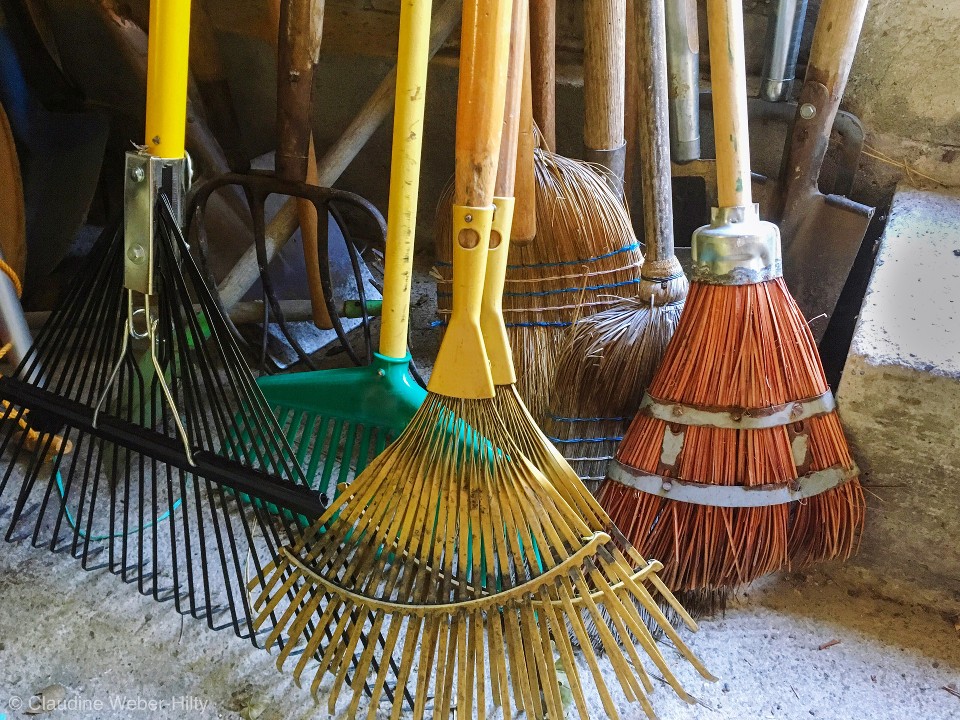 В подвале вместо мигрантов — инвентарь дворников: что показала проверка в Лопатине