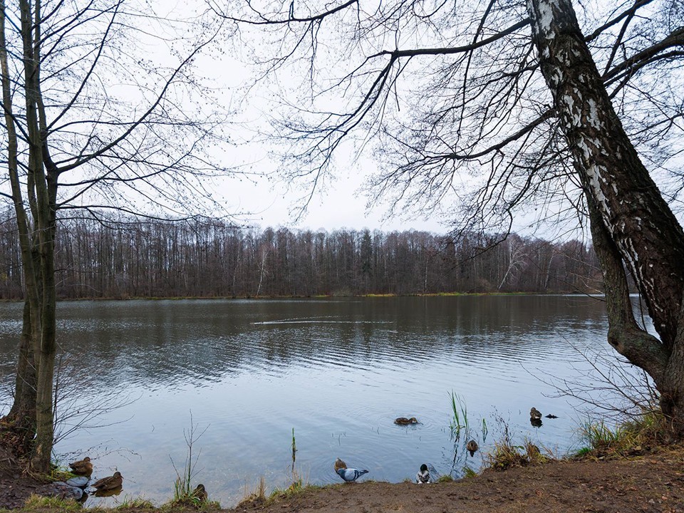 В 2026 году в округе станет больше мест для пикников и прогулок у воды