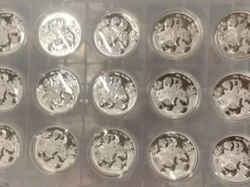 Экспонаты в коллекцию: что нашли таможенники в багаже у иностранца в Шереметьево