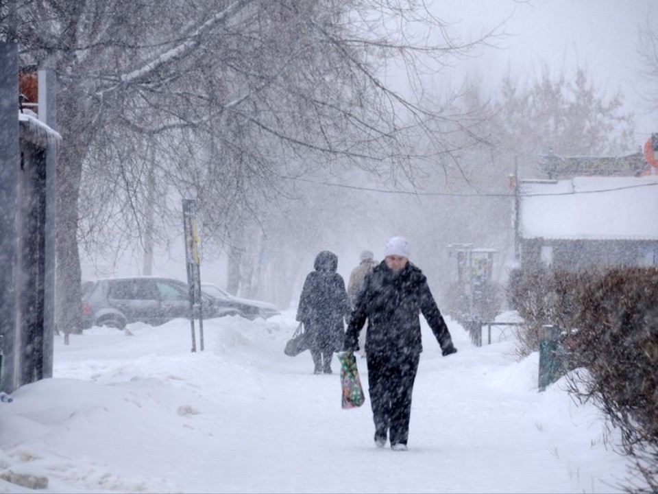 Зима наступает: какой высоты сугробов ожидать к 31 декабря?