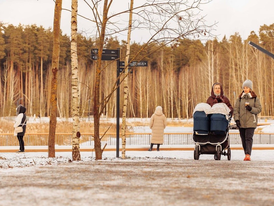 Лесопарк «Стрелки» после реконструкции открыли в Орехово-Зуеве