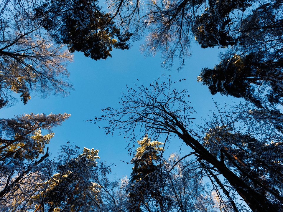 Клим Холодный 8 декабря 2025 года: приметы на погоду и как гадали на урожай