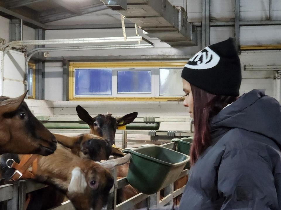 «Самая красивая коза России» ждет гостей на празднике в «Былинкино» 1 января