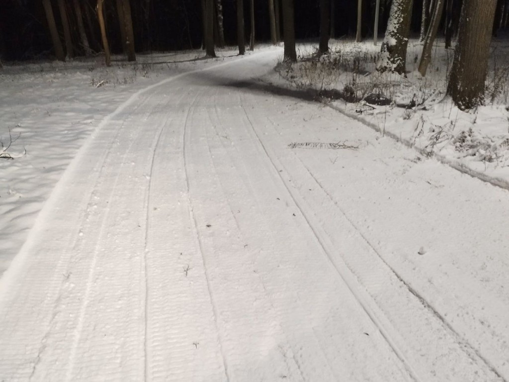 Лыжный сезон стартовал в Кашире-2 трассе в городском парке
