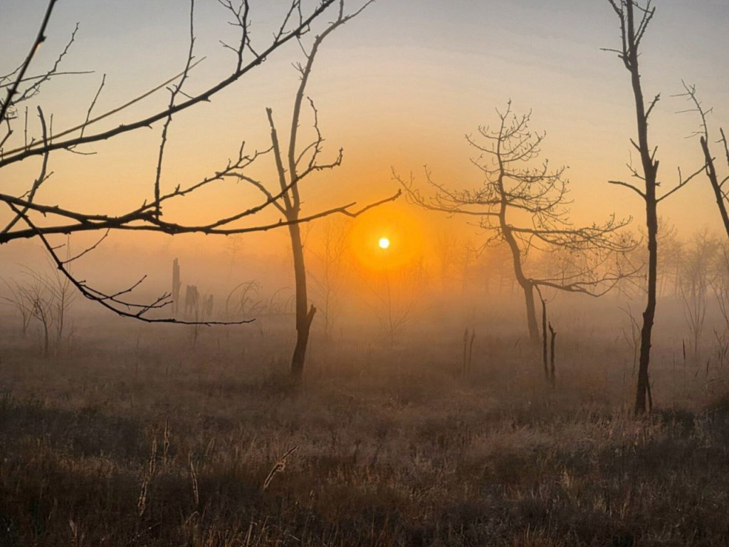 Тайные обряды Игнатьева дня: что скрывает 2 января и почему в это время нельзя свистеть?