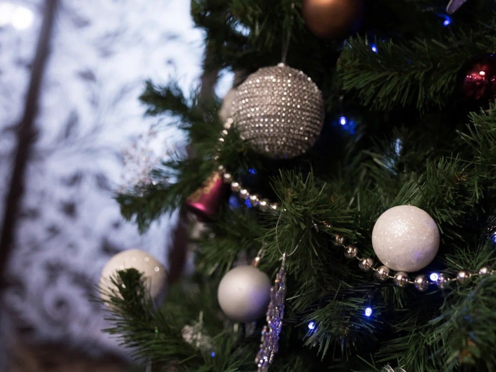 Где купить новогоднюю елку в Домодедове