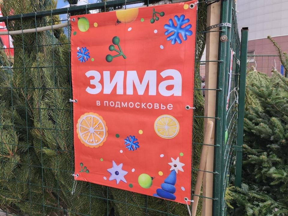 Праздник к нам приходит: где в Луховицах и рядом с ним работают официальные елочные базары