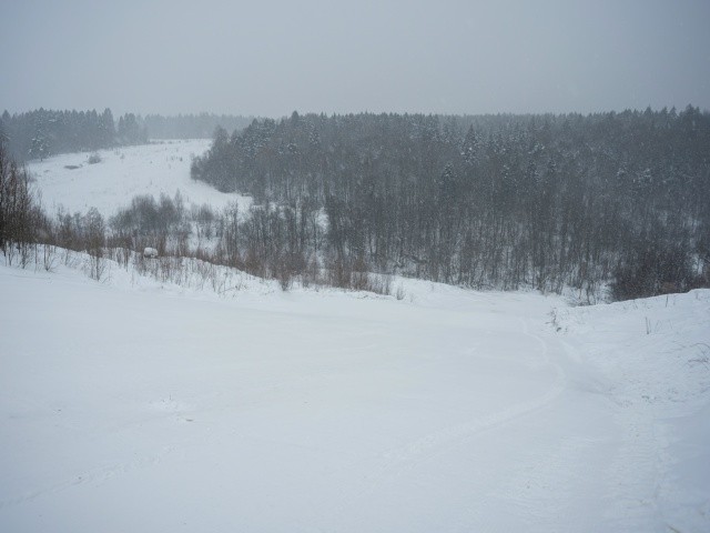 В Красногорске ответили на видеообращение жителей о застройке Черневской поляны