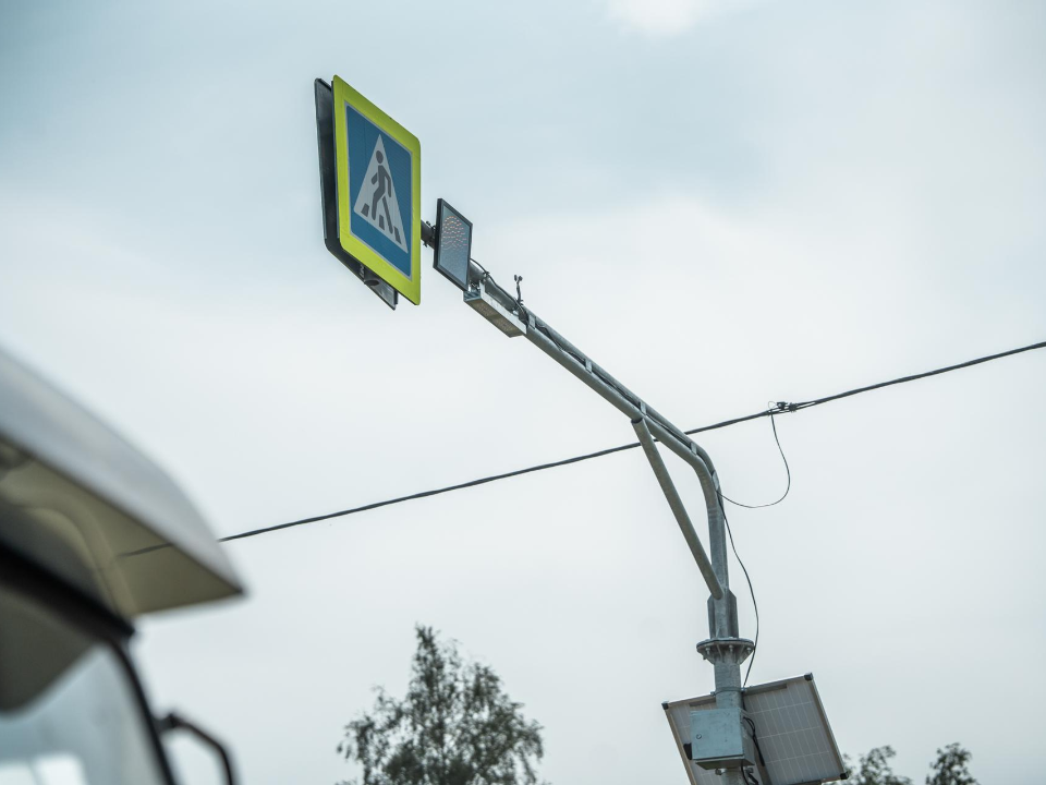 Аварийное дерево спилено, светофоры починены: где уже восстановили знаки, ограждения и остановочные комплексы