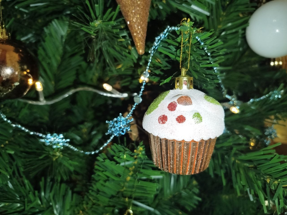 Когда наряжать елку, чтобы привлечь удачу в 2026 году знает астролог Прохорова