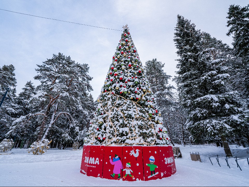 Дед Мороз, театр и угощения: где в Истре устроят «Новый год под шубой»