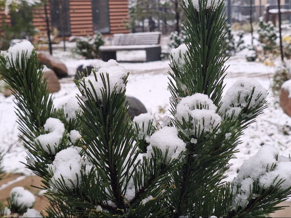 Погодные качели: стало известно, когда вернется потепление в Подмосковье