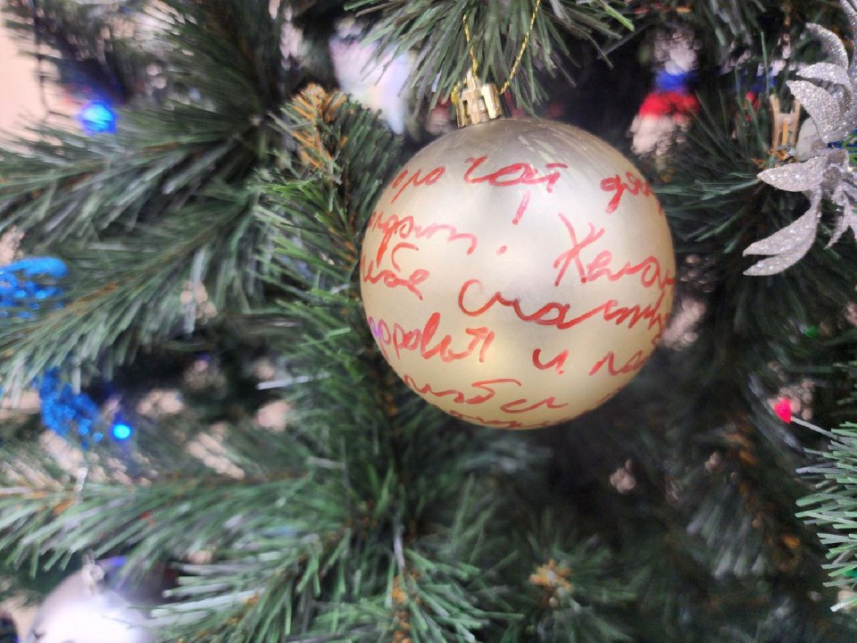 Шары с детскими новогодними посланиями отправят из Солнечногорска на передовую