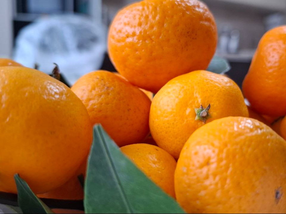Оранжевое настроение без вреда: врачи назвали безопасную норму мандаринов в день