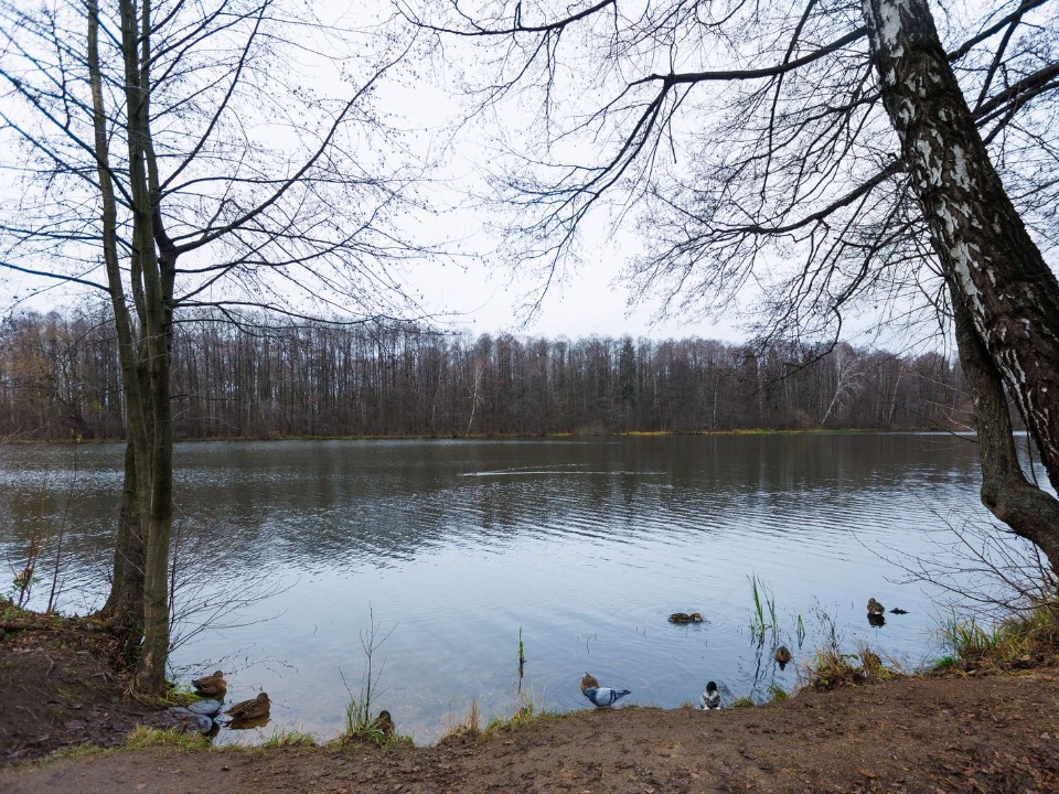 Сразу два коломенских пруда вышли в финал голосования на портале «Добродел»
