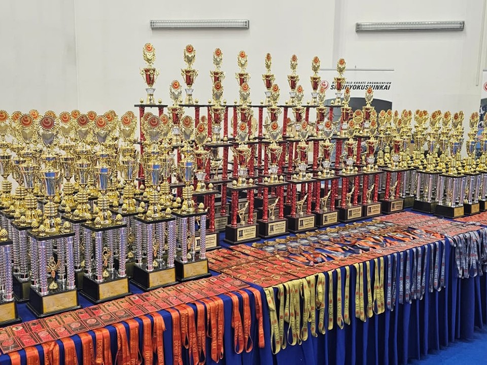 Каратисты из Лесных Полян стали призерами Всероссийских соревнований