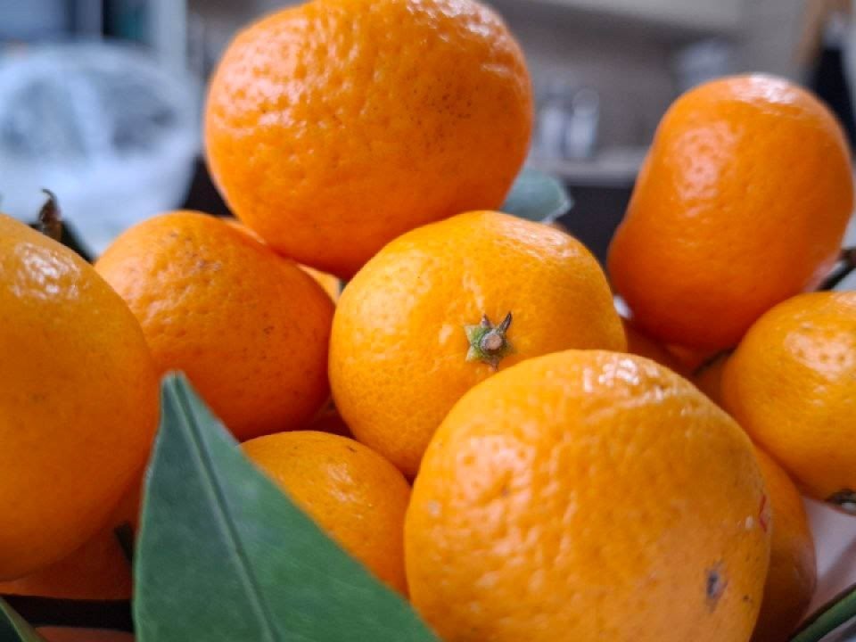 Эксперты раскрыли график «мандаринового бума»: тонны хлынут на российские прилавки