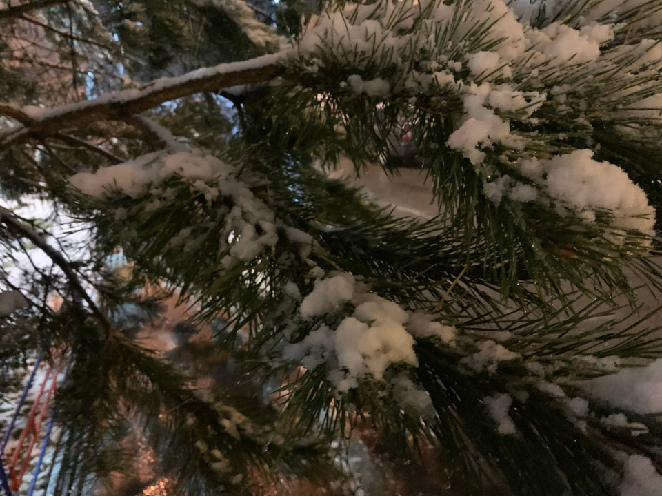 Морозы и снегопады к Новому году обещает чеховский синоптик