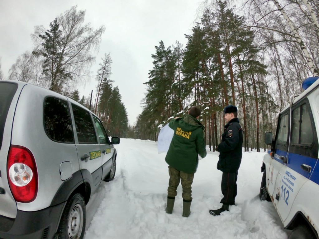 Предновогодний дозор: лесничие увеличили количество рейдов вдвое