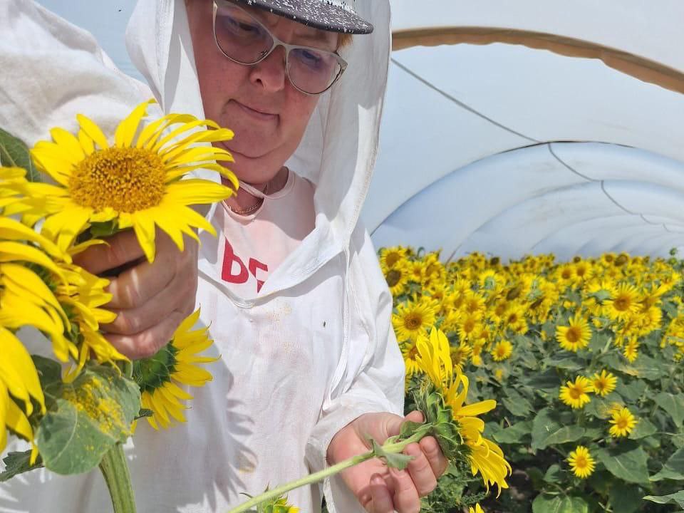 Как селекционным разработкам щелковской компании удается конкурировать с импортом
