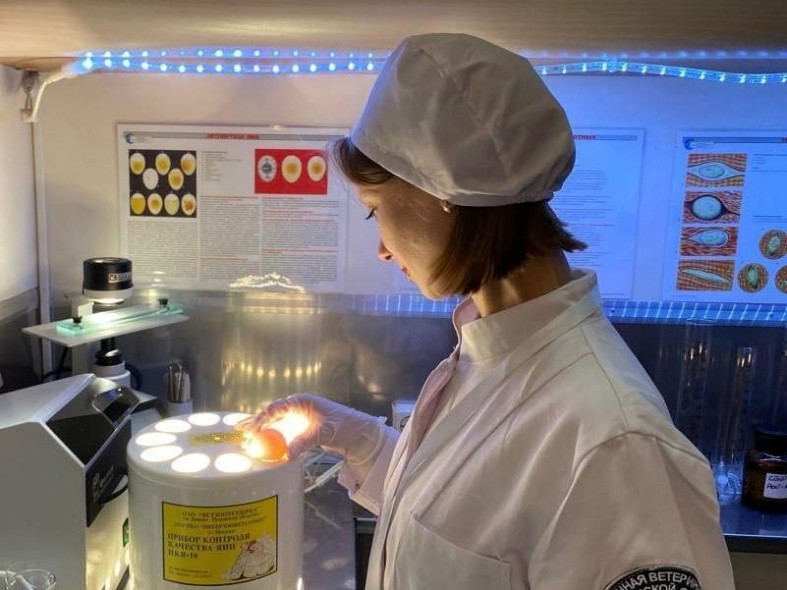 Яйца под микроскопом: как ветеринары Подмосковья следят, чтобы ваши омлеты были безопасными