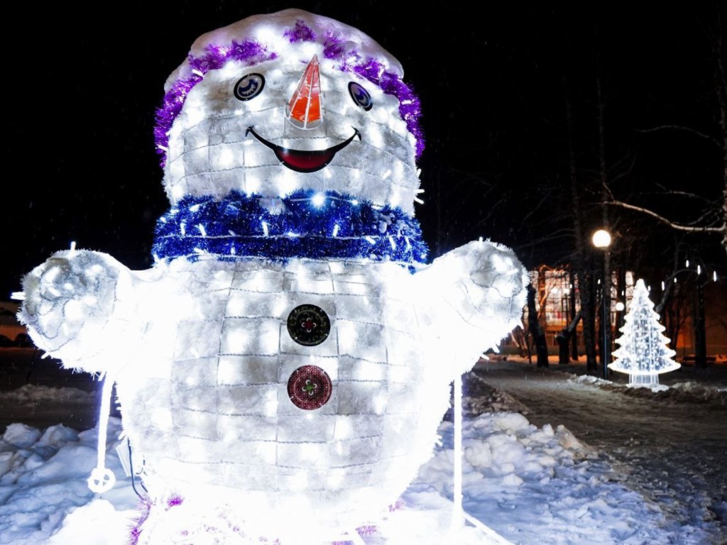 Прогулка по новогодней Шатуре: где сделать самое красивое новогоднее фото в Шатуре