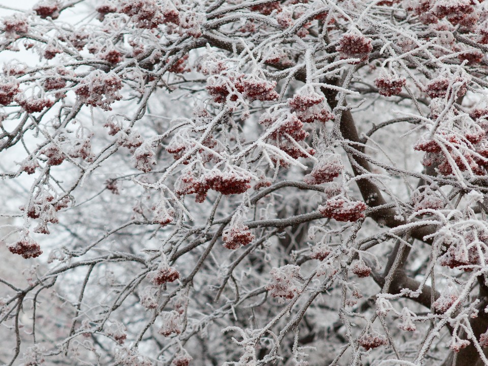 Похолодание в Подмосковье: в Истре усилили работу коммунальных служб