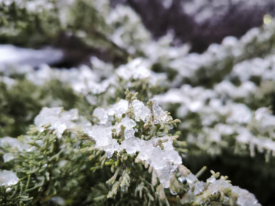 Это была только разминка: самую холодную ночь с начала зимы зафиксировали в Подмосковье