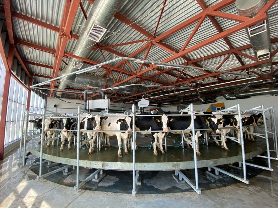 Самые молочные: итоги сельскохозяйственного сезона подвели в Озерах