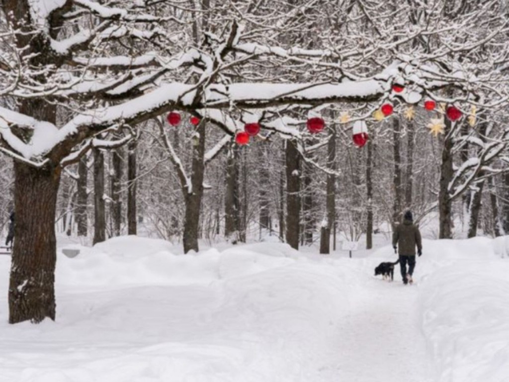 На Новый год в Подмосковье год прогнозируют зимнюю сказку! Синоптики обещают снежок и мороз под -5