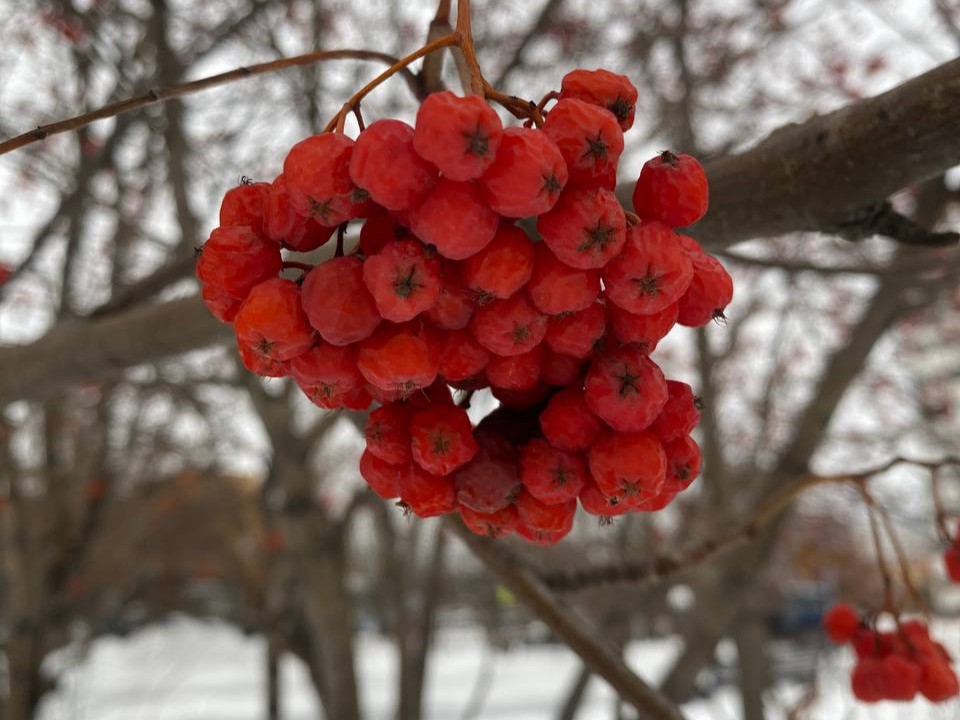 Сюрпризы погоды: к чему стоит готовиться жителям Подмосковья на этой неделе