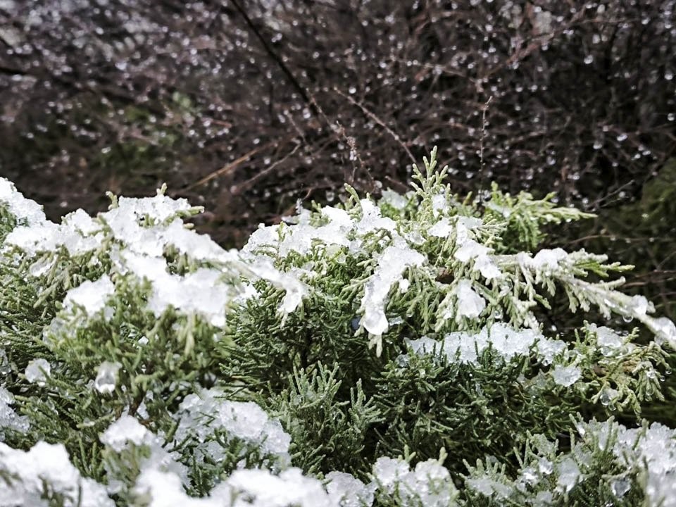 Мороз — в Новый год! Синоптики обещают снежную сказку в Подмосковье