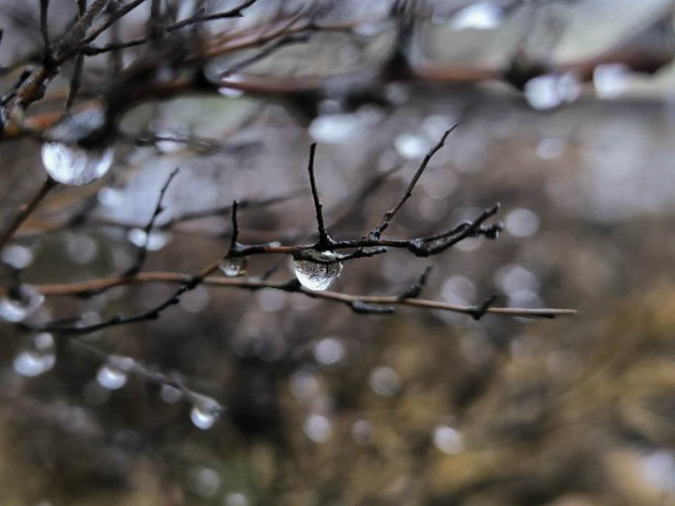 Мокрый снег, метель и сильная гололедица обрушатся на Подмосковье до конца суток 12 декабря