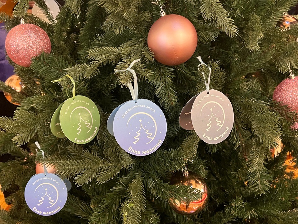 Мечты детей погибших бойцов исполнятся под Новый год