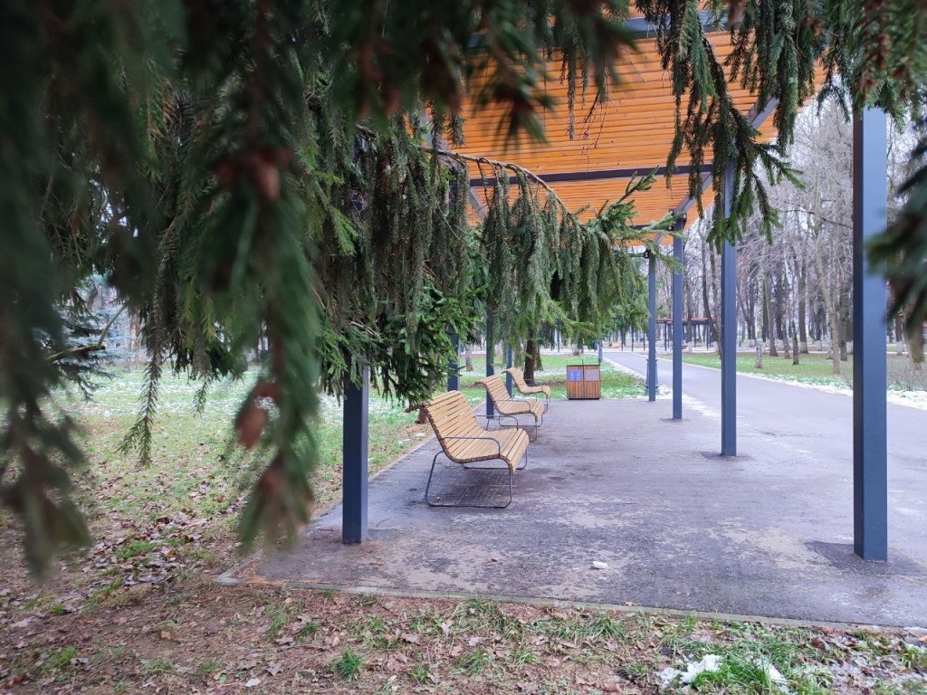 Сырая и промозглая пятница: москвичей ждет день с мокрым снегом и холодным ветром