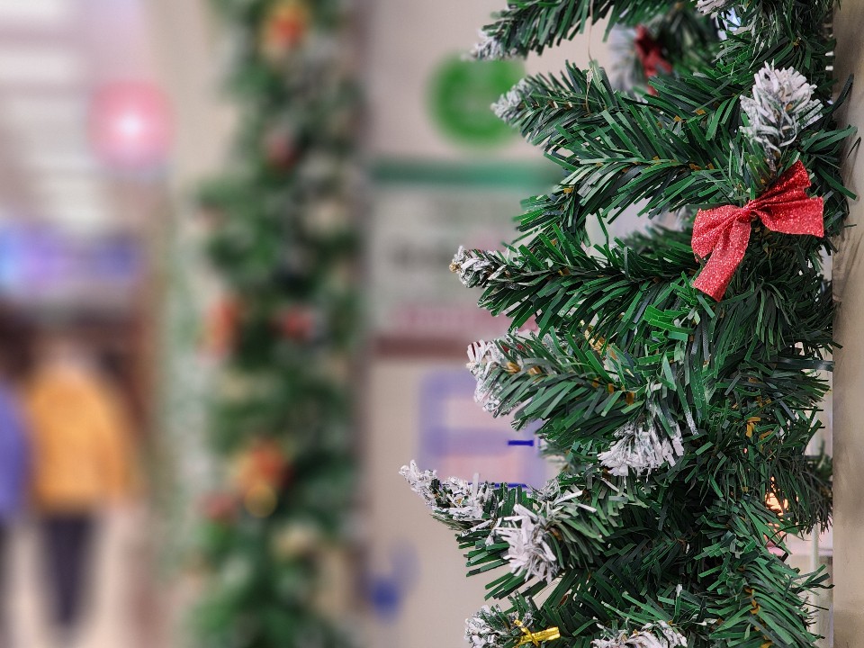 Новогоднее волшебство: жители Орехово-Зуева смогут выбрать самую красивую праздничную елку