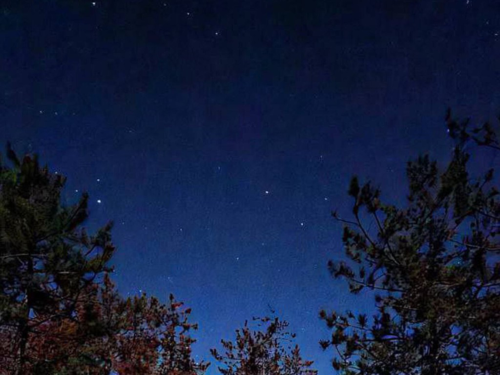 Гороскоп на 10 декабря 2025 для всех знаков Зодиака: Овнам, Тельцам и Весам не стоит идти на поводу у других, а Близнецов, Раков и Козерогов ждет повышение по службе